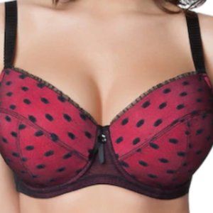 Parfait Bra: Kitty Padded Full-Figure Bra 2101 Underwire, Padded, NWT